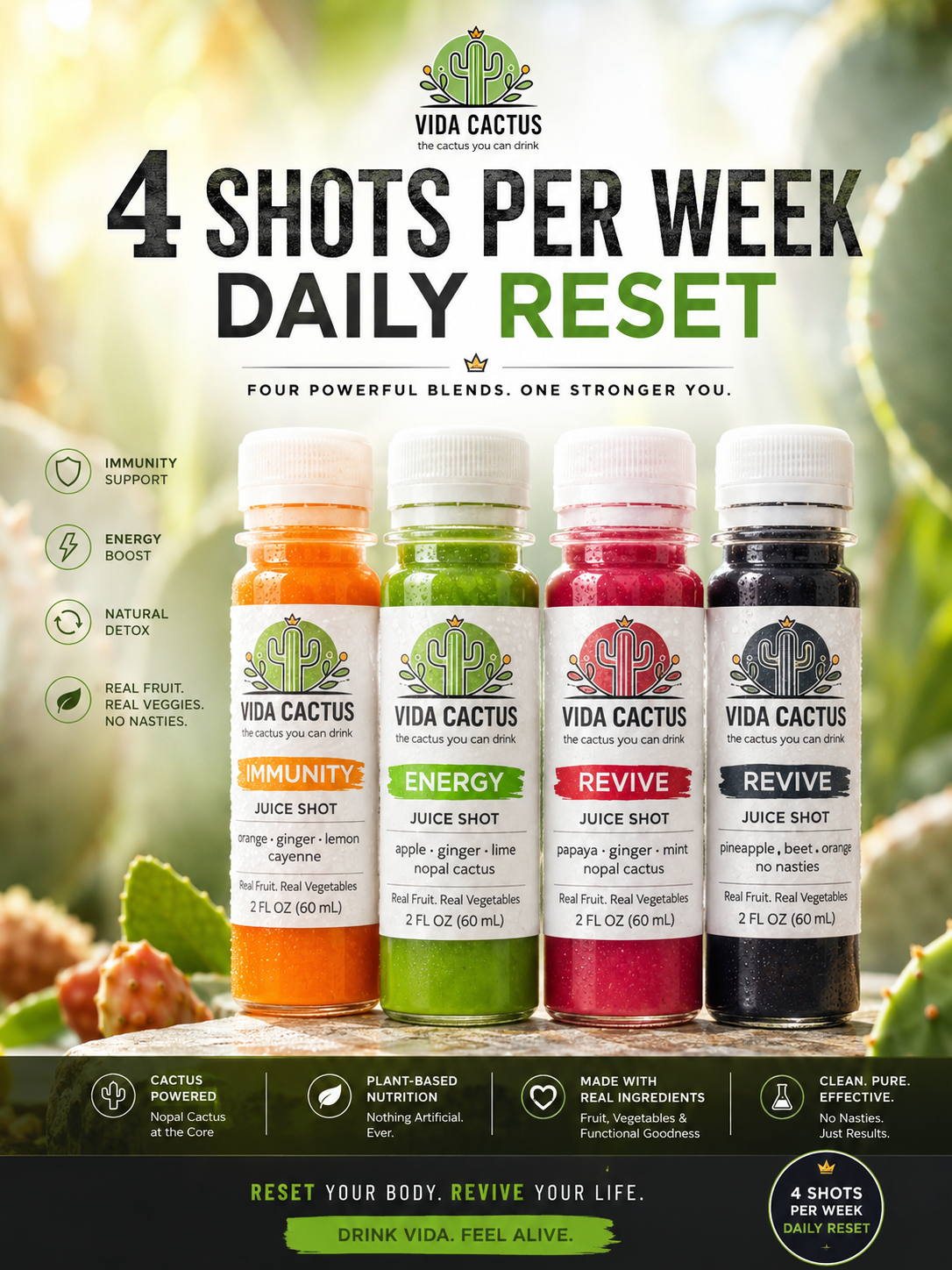VidaCactus Co. Story