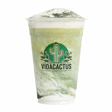 🍵 Vida Matcha